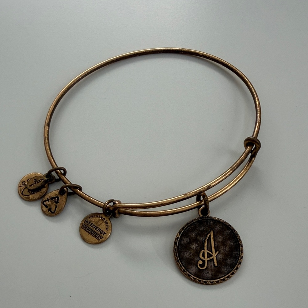 Alex and Ani Gold Charm Bangle